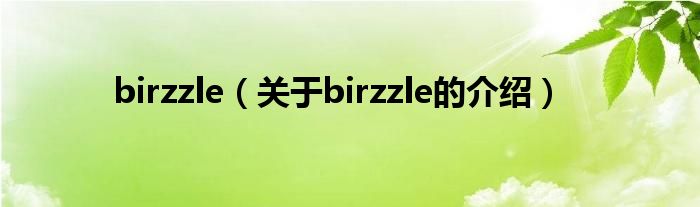 birzzle（关于birzzle的介绍）