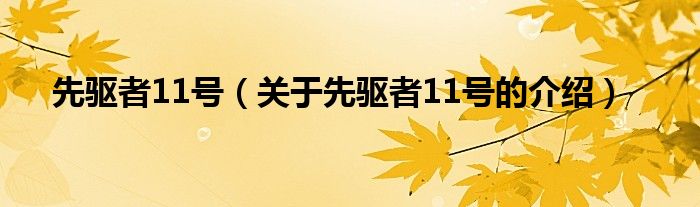 先驱者11号（关于先驱者11号的介绍）