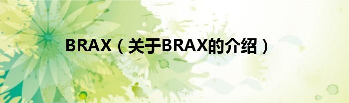BRAX（关于BRAX的介绍）