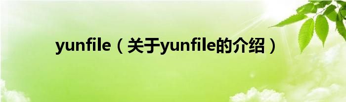 yunfile（关于yunfile的介绍）