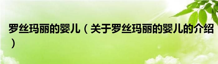 罗丝玛丽的婴儿（关于罗丝玛丽的婴儿的介绍）