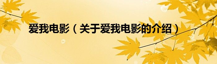 爱我电影（关于爱我电影的介绍）