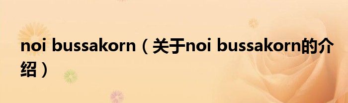 noi bussakorn（关于noi bussakorn的介绍）
