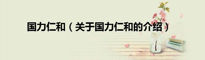 国力仁和（关于国力仁和的介绍）