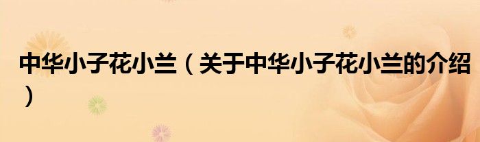 中华小子花小兰（关于中华小子花小兰的介绍）