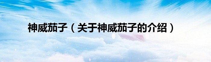 神威茄子（关于神威茄子的介绍）