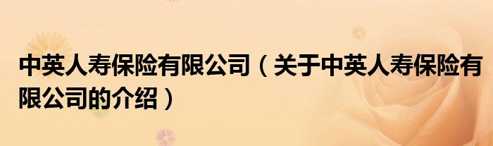 中英人寿保险有限公司（关于中英人寿保险有限公司的介绍）
