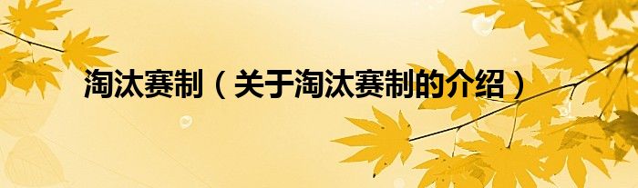 淘汰赛制（关于淘汰赛制的介绍）