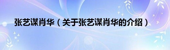 张艺谋肖华（关于张艺谋肖华的介绍）