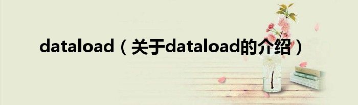 dataload（关于dataload的介绍）