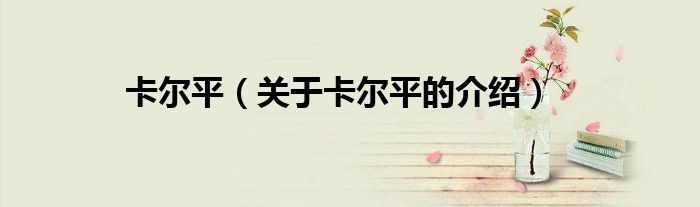 卡尔平（关于卡尔平的介绍）