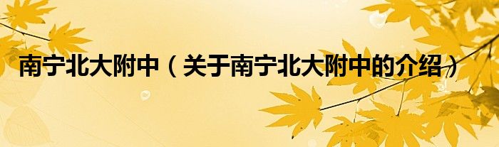 南宁北大附中（关于南宁北大附中的介绍）