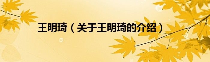 王明琦（关于王明琦的介绍）