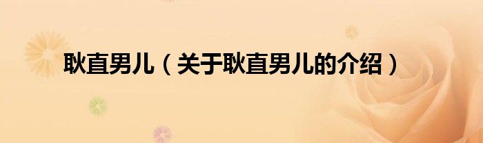 耿直男儿（关于耿直男儿的介绍）