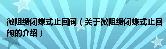 微阻缓闭蝶式止回阀（关于微阻缓闭蝶式止回阀的介绍）
