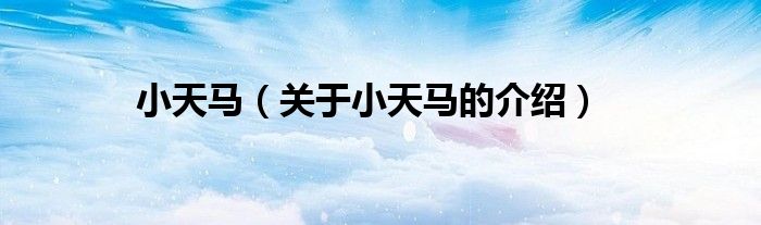 小天马（关于小天马的介绍）