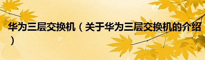 华为三层交换机（关于华为三层交换机的介绍）