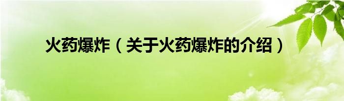 火药爆炸（关于火药爆炸的介绍）