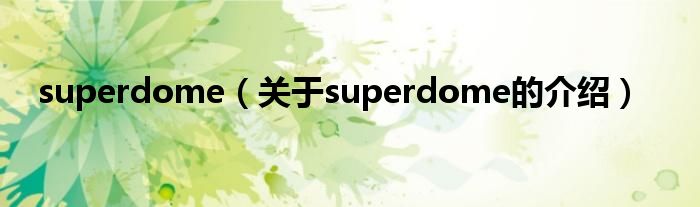superdome（关于superdome的介绍）