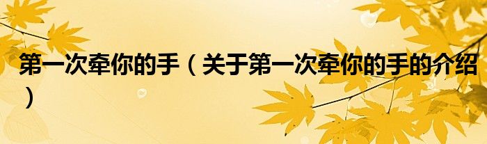 第一次牵你的手（关于第一次牵你的手的介绍）