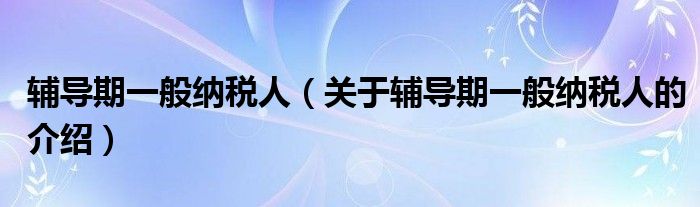 辅导期一般纳税人（关于辅导期一般纳税人的介绍）