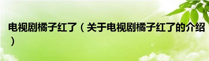 电视剧橘子红了（关于电视剧橘子红了的介绍）