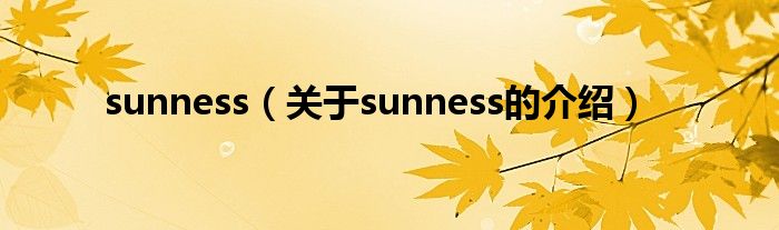sunness（关于sunness的介绍）