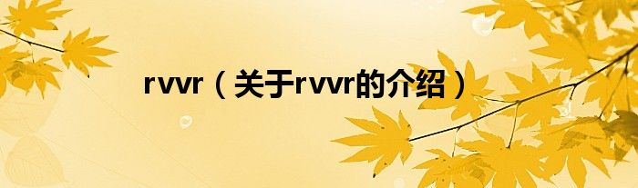 rvvr（关于rvvr的介绍）