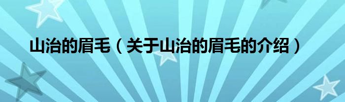 山治的眉毛（关于山治的眉毛的介绍）