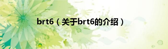 brt6（关于brt6的介绍）