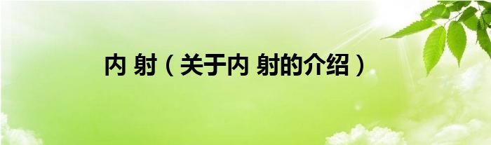 内 射（关于内 射的介绍）