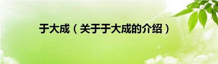 于大成（关于于大成的介绍）