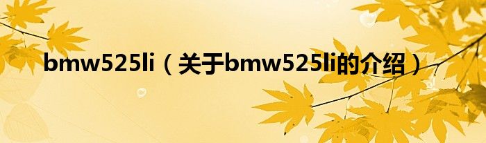 bmw525li（关于bmw525li的介绍）