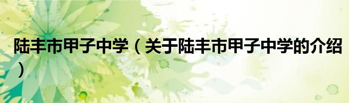 陆丰市甲子中学（关于陆丰市甲子中学的介绍）