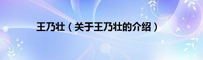 王乃壮（关于王乃壮的介绍）