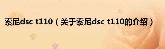 索尼dsc t110（关于索尼dsc t110的介绍）