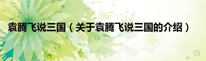 袁腾飞说三国（关于袁腾飞说三国的介绍）