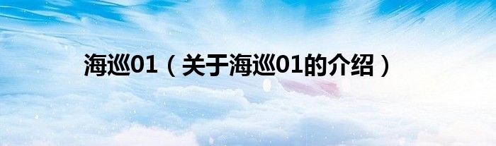 海巡01（关于海巡01的介绍）
