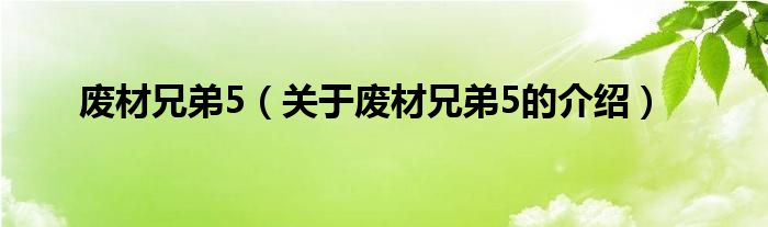 废材兄弟5（关于废材兄弟5的介绍）