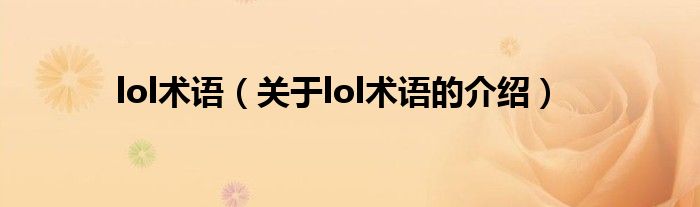 lol术语（关于lol术语的介绍）