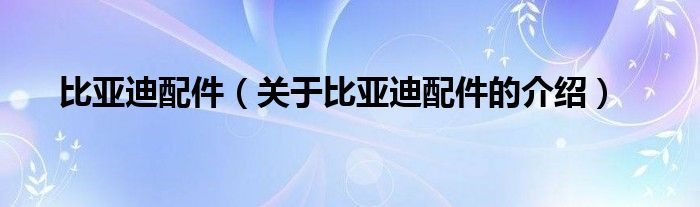比亚迪配件（关于比亚迪配件的介绍）