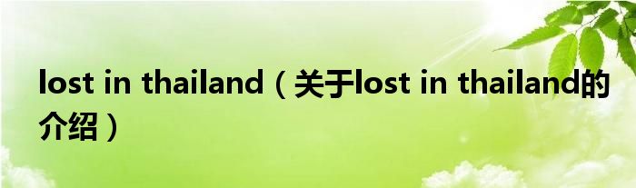 lost in thailand（关于lost in thailand的介绍）