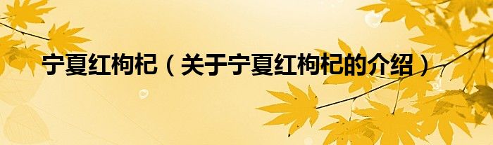 宁夏红枸杞（关于宁夏红枸杞的介绍）