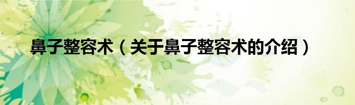 鼻子整容术（关于鼻子整容术的介绍）
