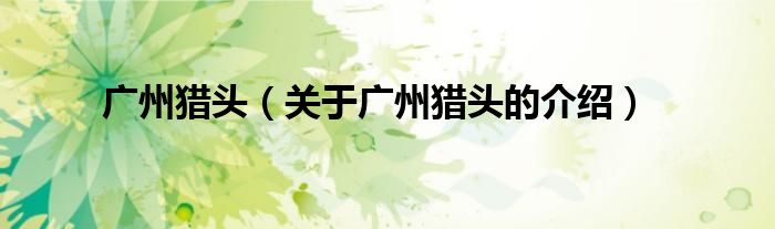 广州猎头（关于广州猎头的介绍）