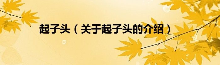 起子头（关于起子头的介绍）