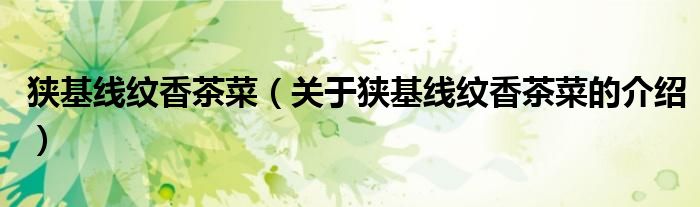 狭基线纹香茶菜（关于狭基线纹香茶菜的介绍）