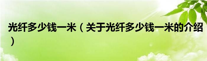 光纤多少钱一米（关于光纤多少钱一米的介绍）