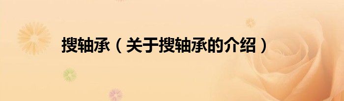 搜轴承（关于搜轴承的介绍）