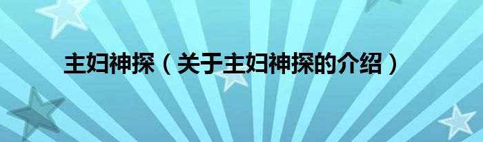 主妇神探（关于主妇神探的介绍）